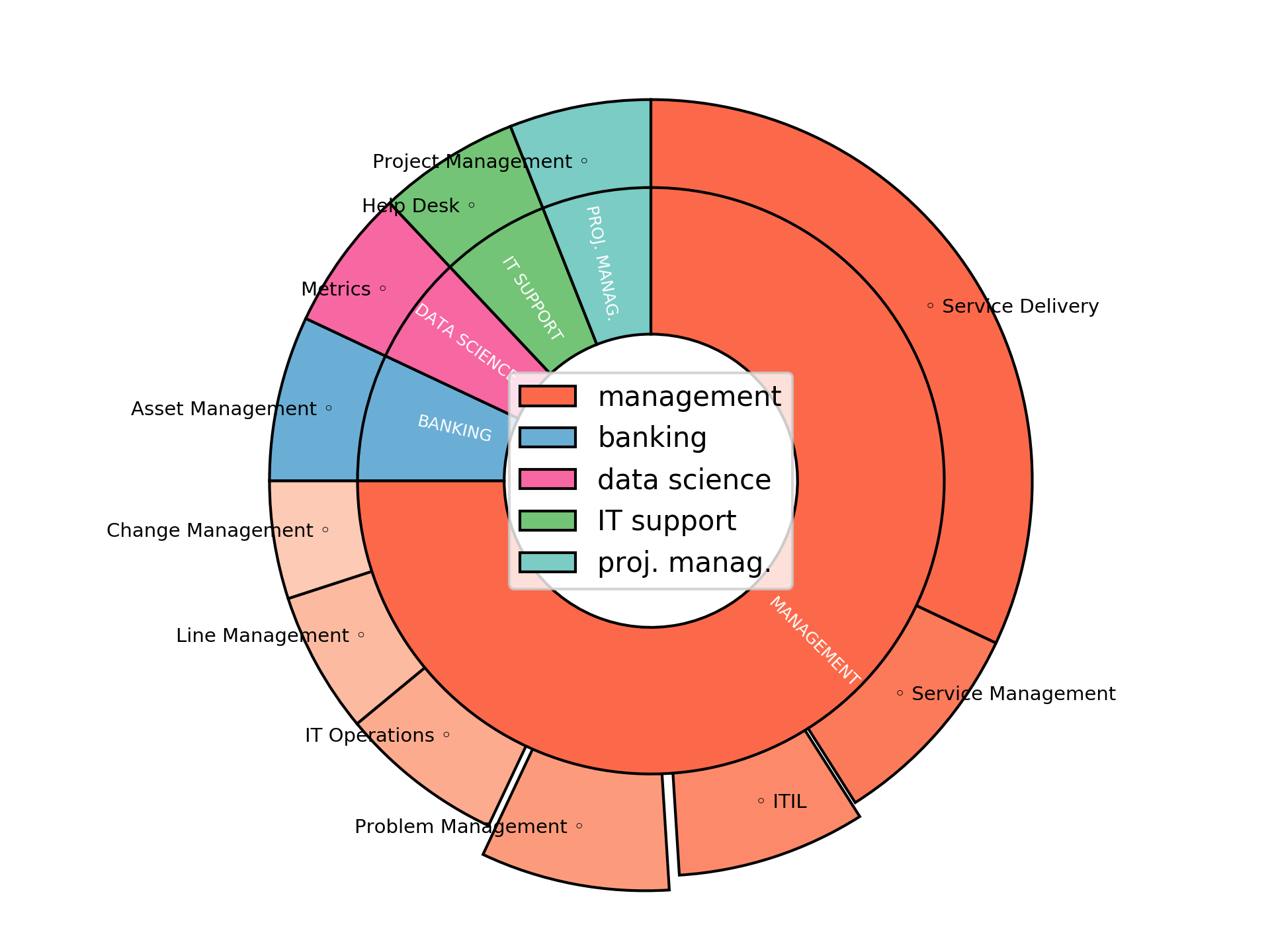 Disaggregated Visualization Graph for Head of IT Service